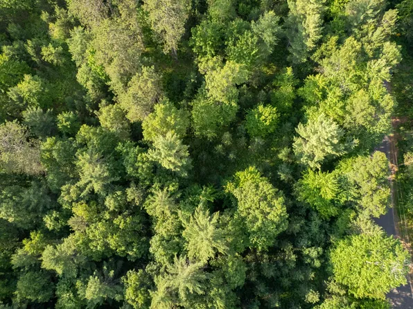 LOT 21 Dads Lake Rd, Eagle River, WI 54521