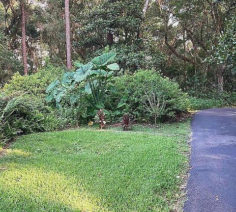 Driveway