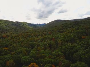 88 Nye Valley Rd, Bastian, VA 24314