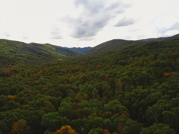 88 Nye Valley Rd, Bastian, VA 24314