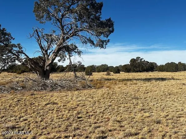 234N E Brothers Rd, Seligman, AZ 86337