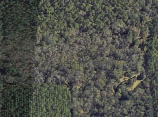 973 T H Lee Rd, Statesboro, GA 30461