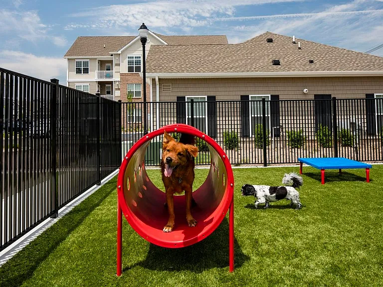 WAG Pet Park