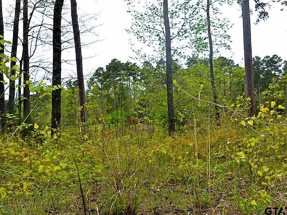 4th image of LOT 33 Northshore