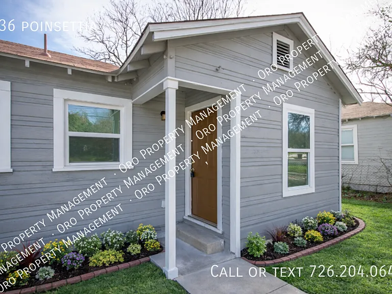 936 Poinsettia — Photo 3