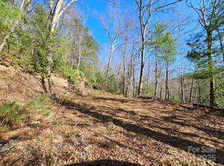 0 Laurel Branch Rd, Waynesville, NC 28785