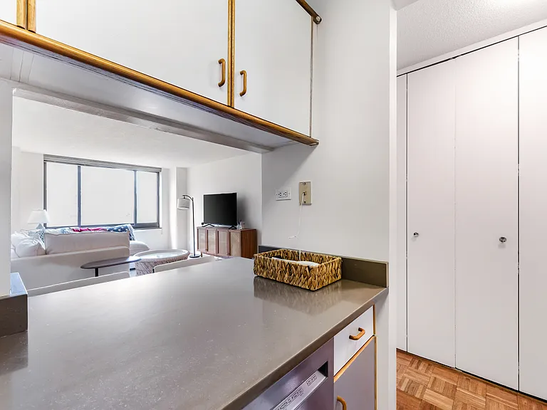 200 Rector Pl #6V — Photo 12