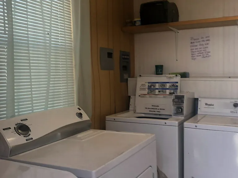 2505 Ray Falcon St #2 — Photo 12