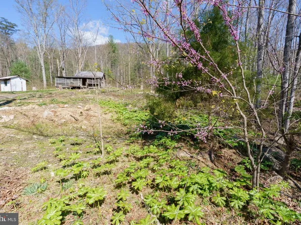 3336 Wolf Gap Rd, Edinburg, VA 22824