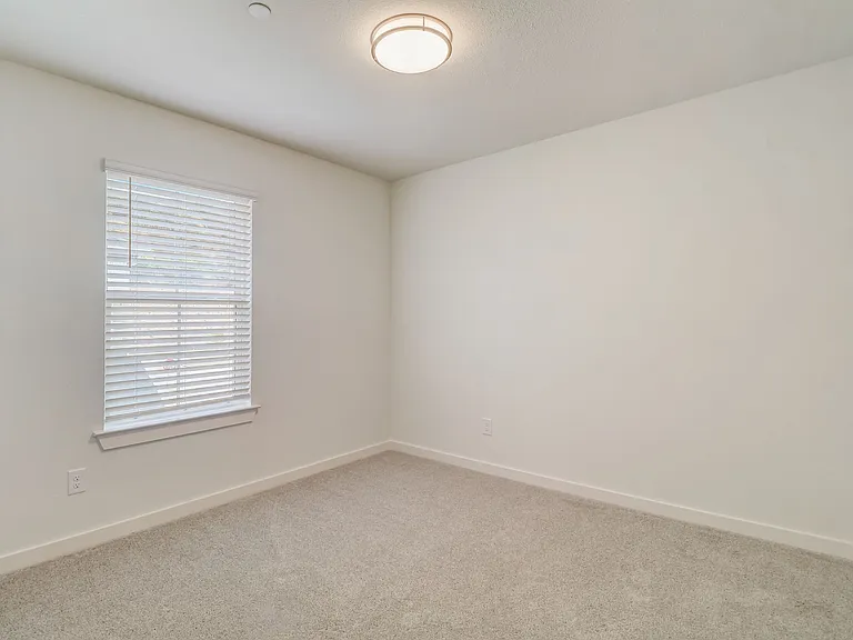 Canvas at Willow Park — Photo 100