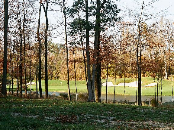 5th image of 10011 Allen Dr