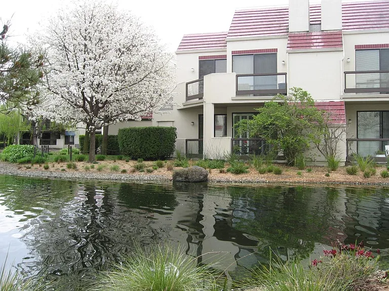 218 Shorebird Cir — Photo 19