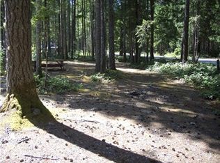 10 N Olympic Ct S, Hoodsport, WA 98548