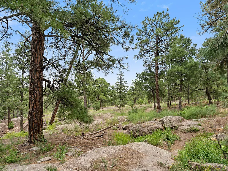 Canyon Village — Photo 16
