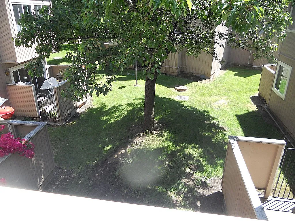 3901 Clayton Rd APT 4 photo 1