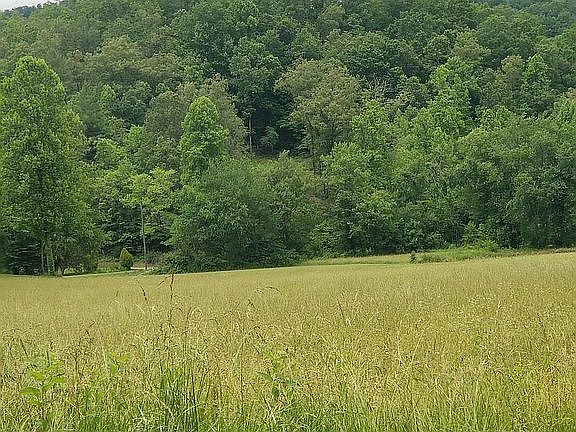 That hole in middle is lot