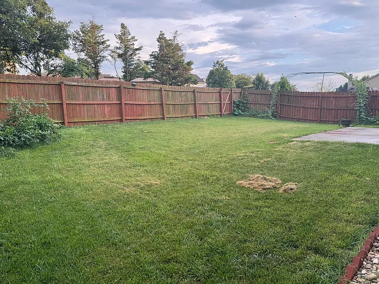 10916 Collington Dr — Photo 35