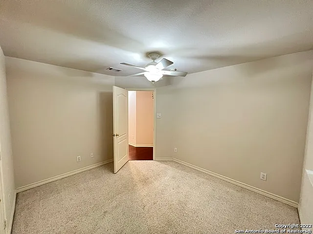 1303 Bluff Frst — Photo 26