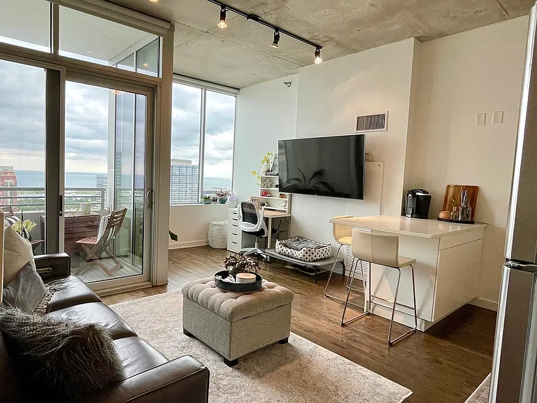 1720 S Michigan Ave #2504 — Photo 3