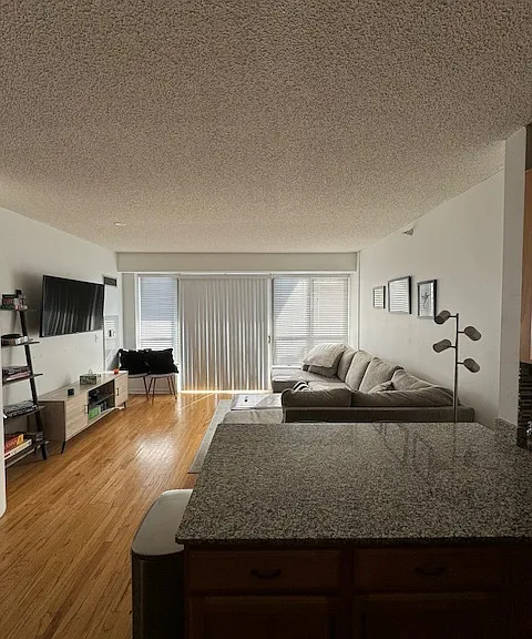 1717 S Prairie Ave #907 — Photo 7