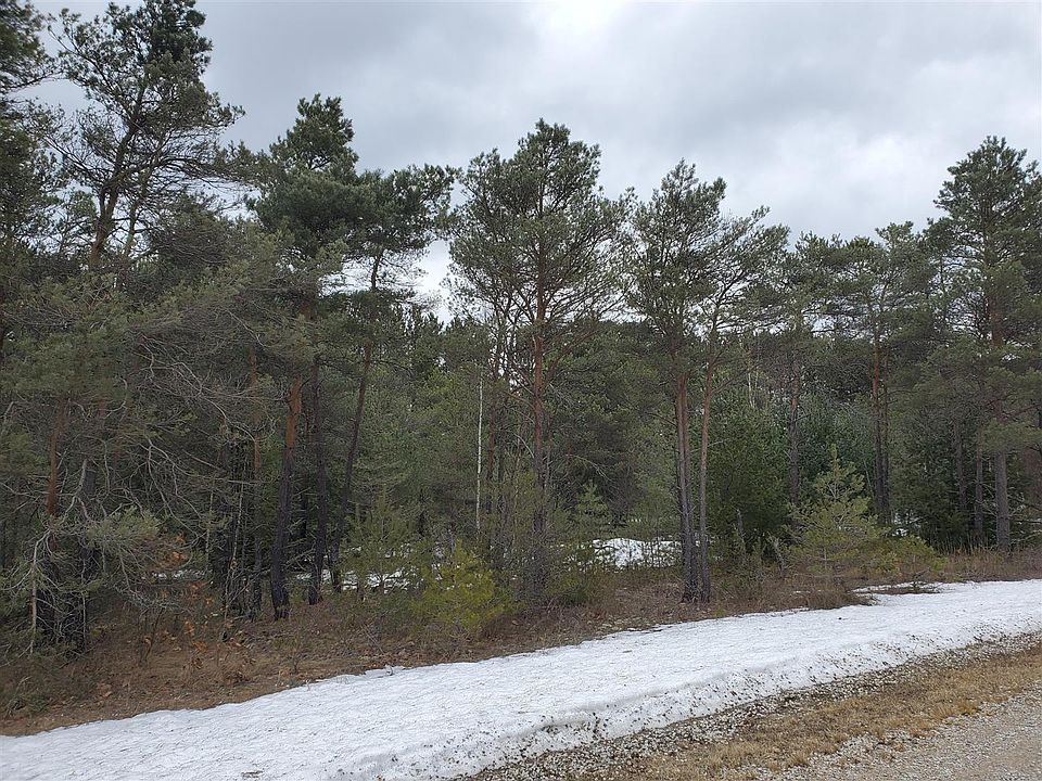 2nd image of Bonter Ct