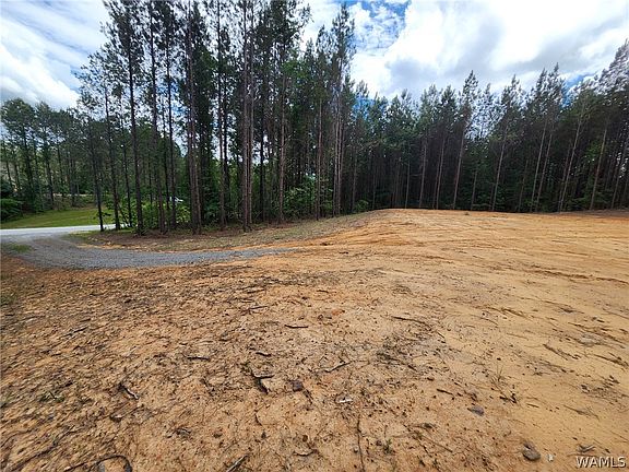 3rd image of LOT 1 Indian Creek Rd