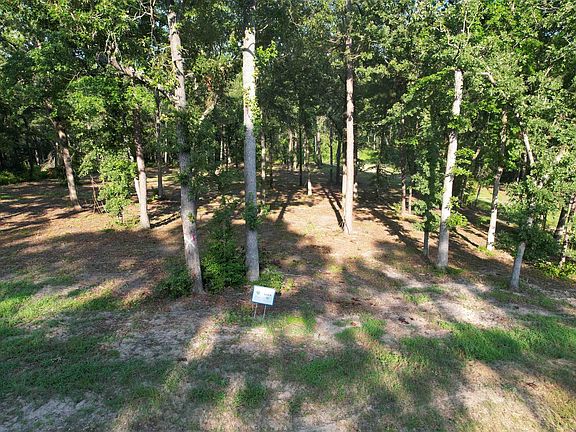 2nd image of 3226 Shadow Pine Dr