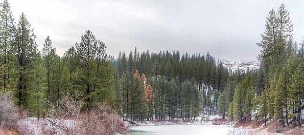 1st image of 14 B 3 Pinetop Idaho #L