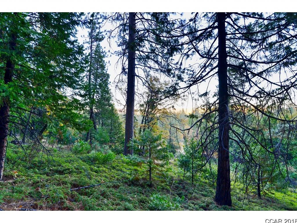 2734 Placer Way photo 1