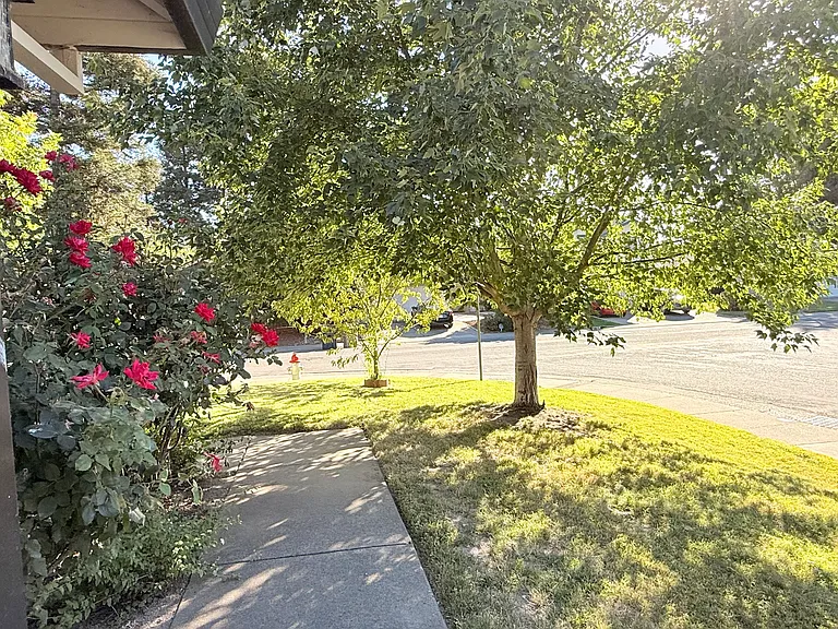 Sunwind Way — Photo 4