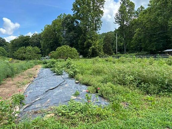 5th image of 305 Pond Lick Rd