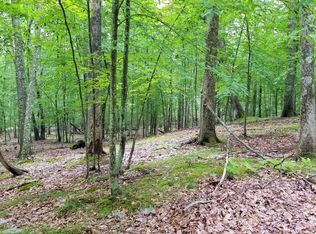 128 Cottonwood Dr, Hawley, PA 18428