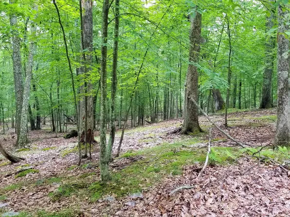 128 Cottonwood Dr, Hawley, PA 18428