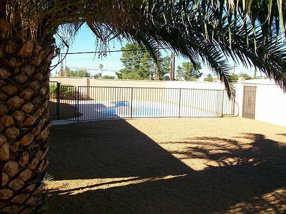 Professionally landscaped back yard w/twin palm trees and sparkling blue pool
