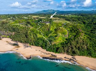 2874A Kauapea Rd #A, Kilauea, HI 96754