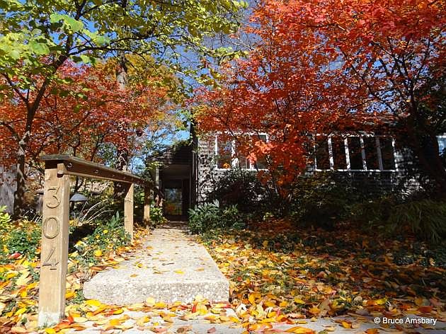 Front view in the fall
