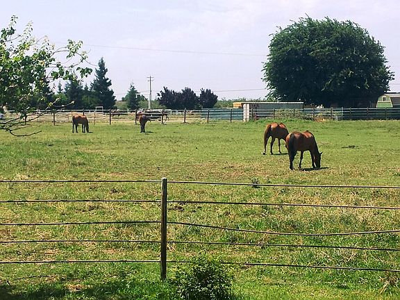 6 pastures