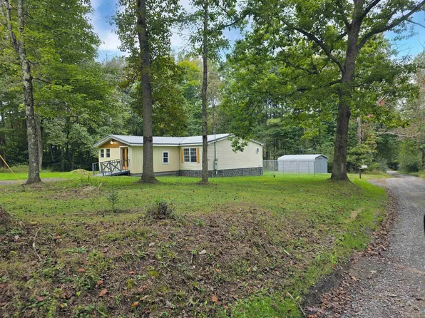 5543 Calvert Shaver Rd, Terra Alta, WV 26764
