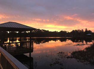 17008 Lake James Rd, Odessa, FL 33556