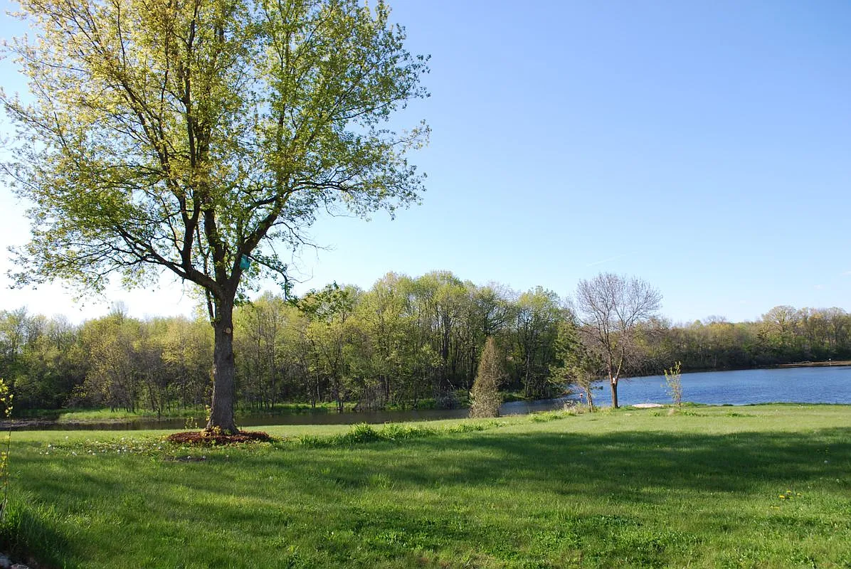2 bed, 1.0 bath, 1010 sqft, $1,800 — Photo 3