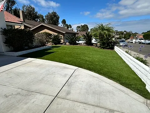 Front of the house- Turf recently done