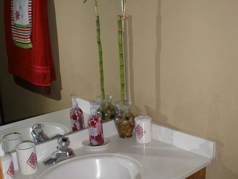 6763 Hammersley Rd — Photo 15