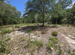 20 E Tulip Ave, Defuniak Springs, FL 32433