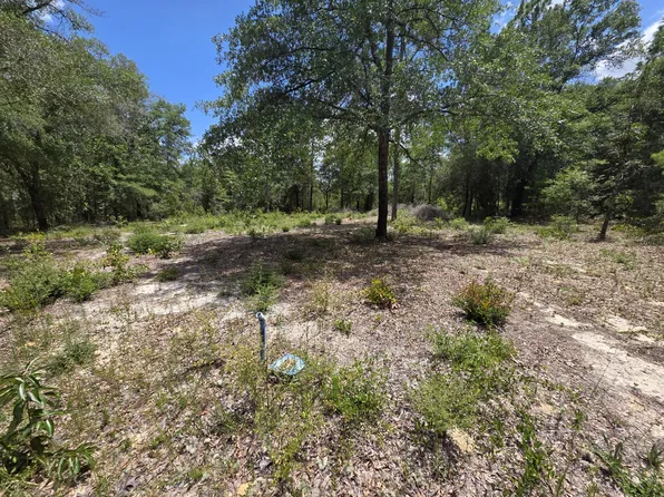 20 E Tulip Ave, Defuniak Springs, FL 32433
