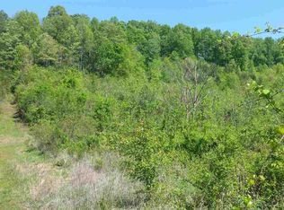 159 Flatwood Ln, Rogersville, TN 37857