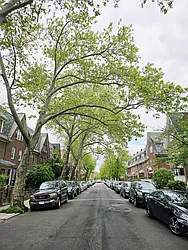 Rented by Oxford Property Group