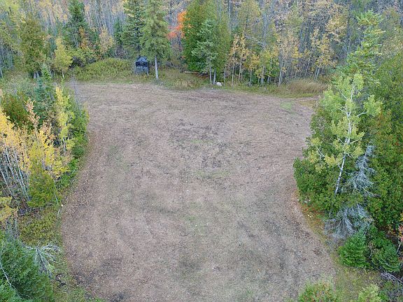 one of 5 sizable food plots 