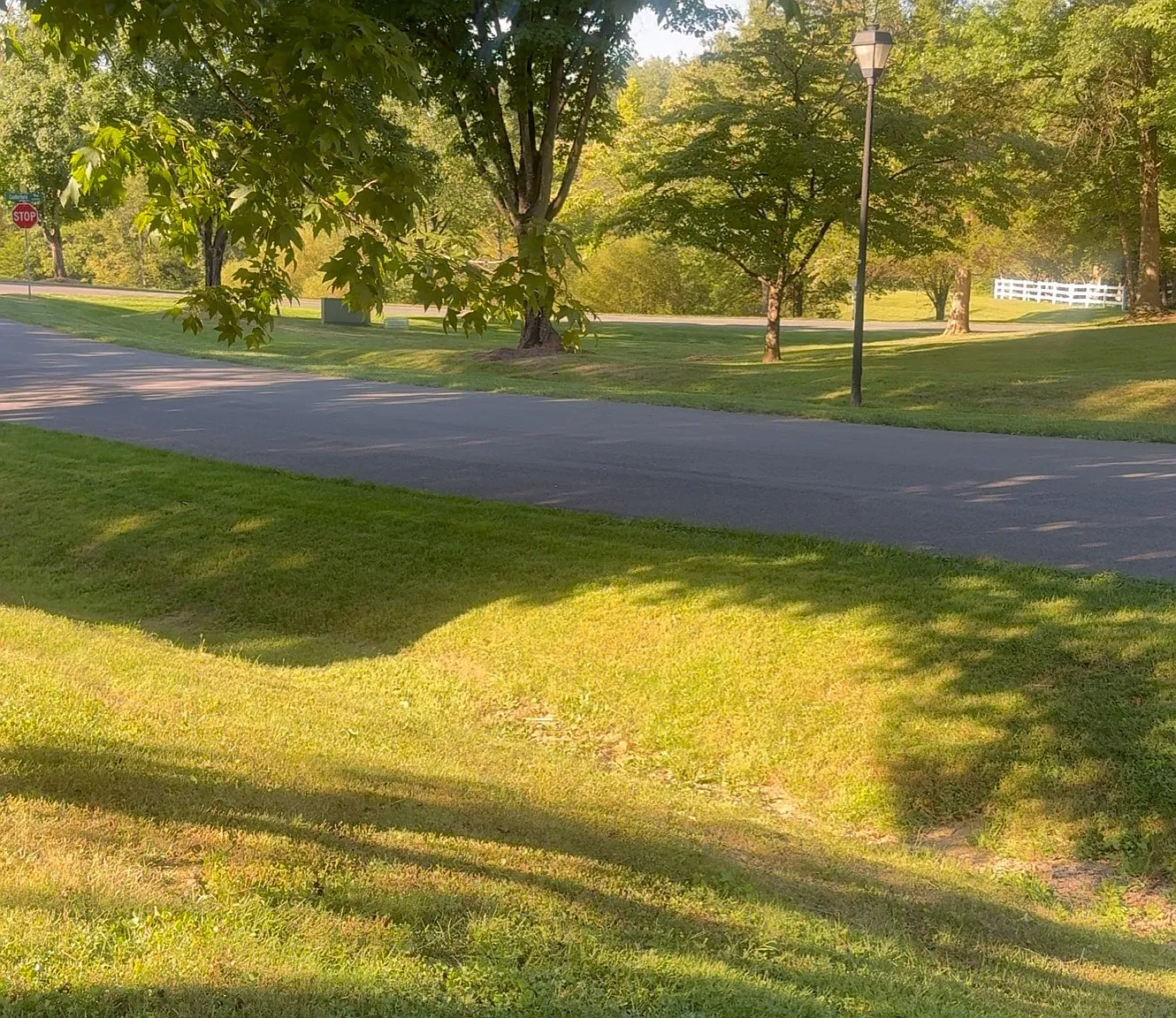 1 bed, 350 sqft, $850 — Photo 1