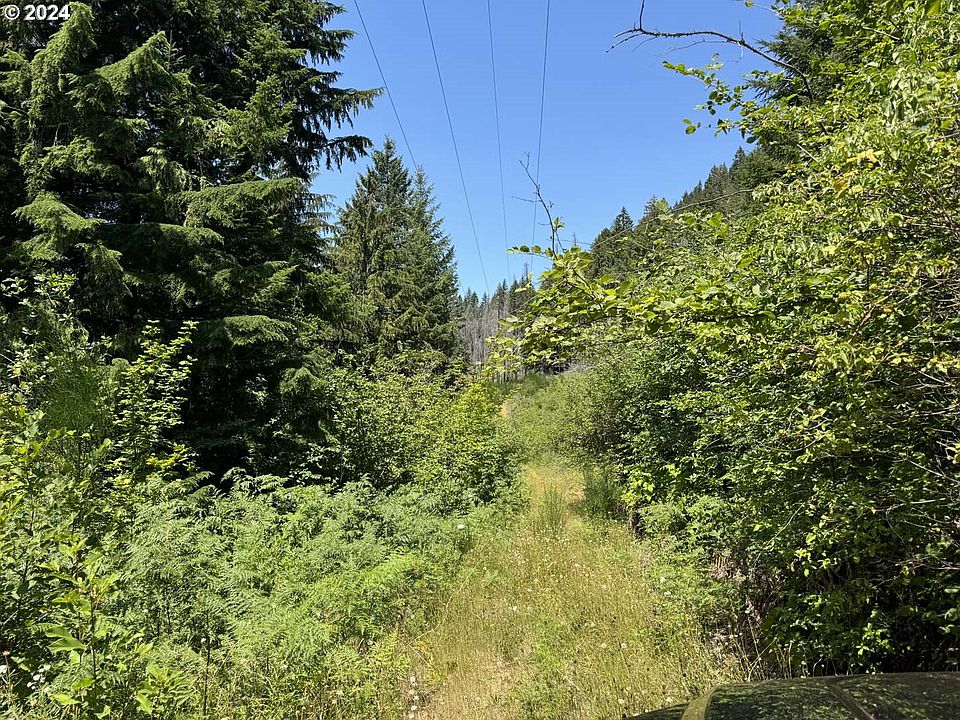 1st image of N Santiam Highway Se Tl #22-1600