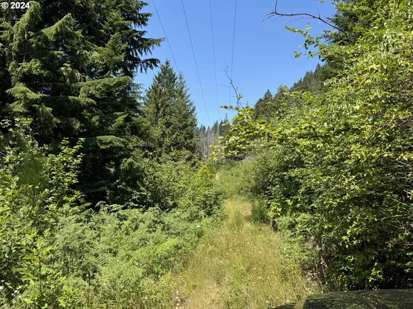 N Santiam Highway Se Tl #22-1600, Detroit, OR 97342